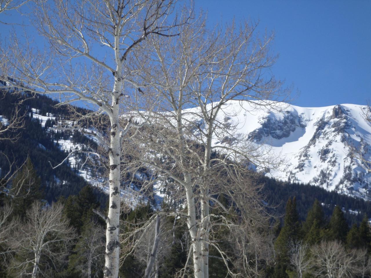 Martha R. Lang - Photography - Mount Mansfield