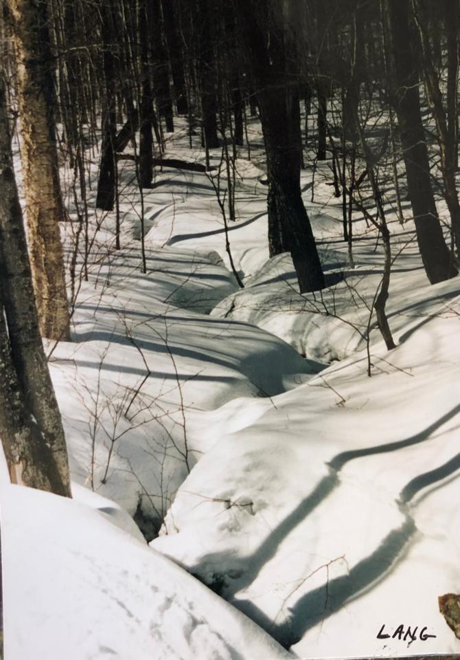 Martha R. Lang - Photography - Winter by a Brook