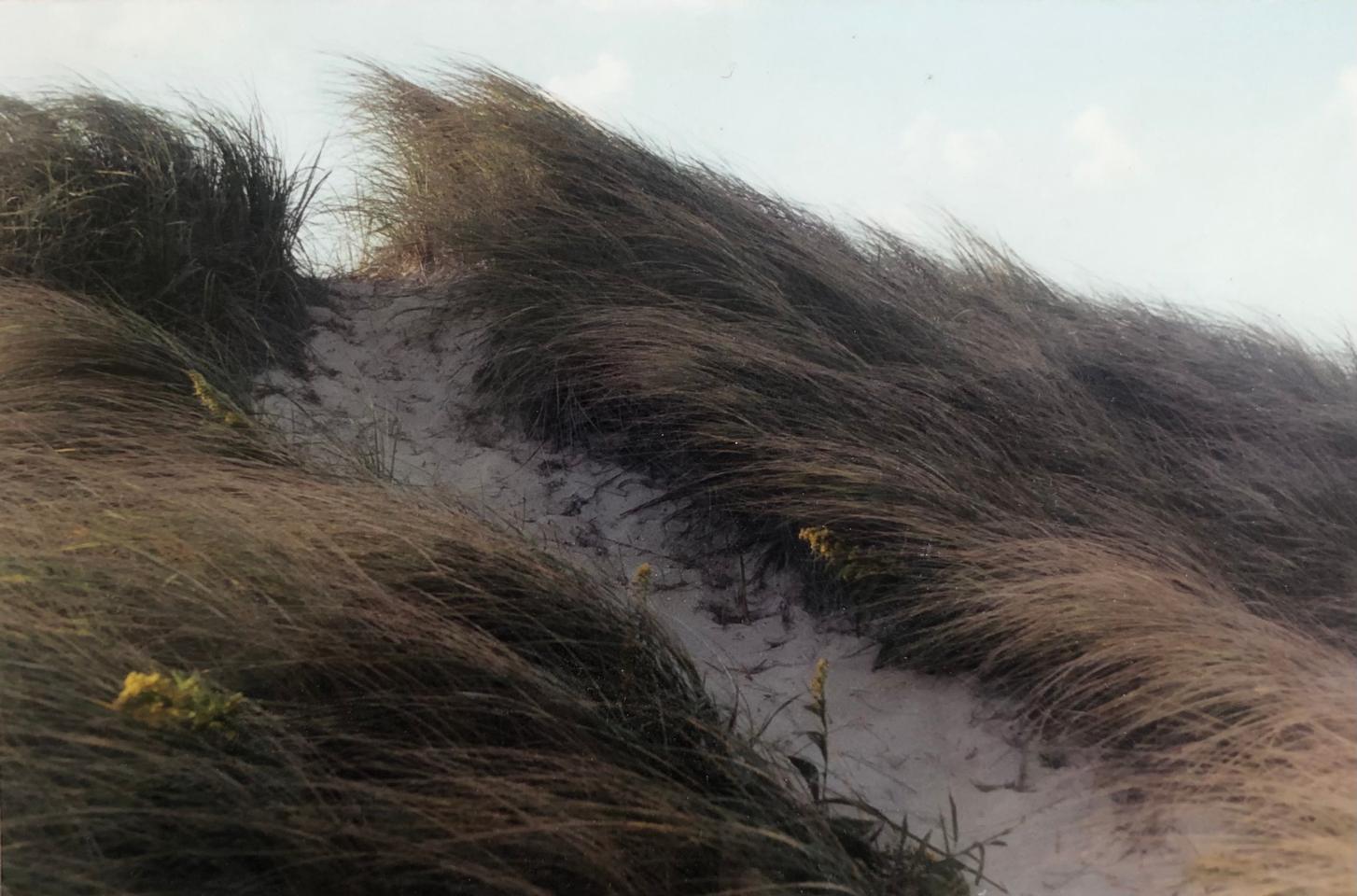 Martha R. Lang - Photography - Windswept Dunes