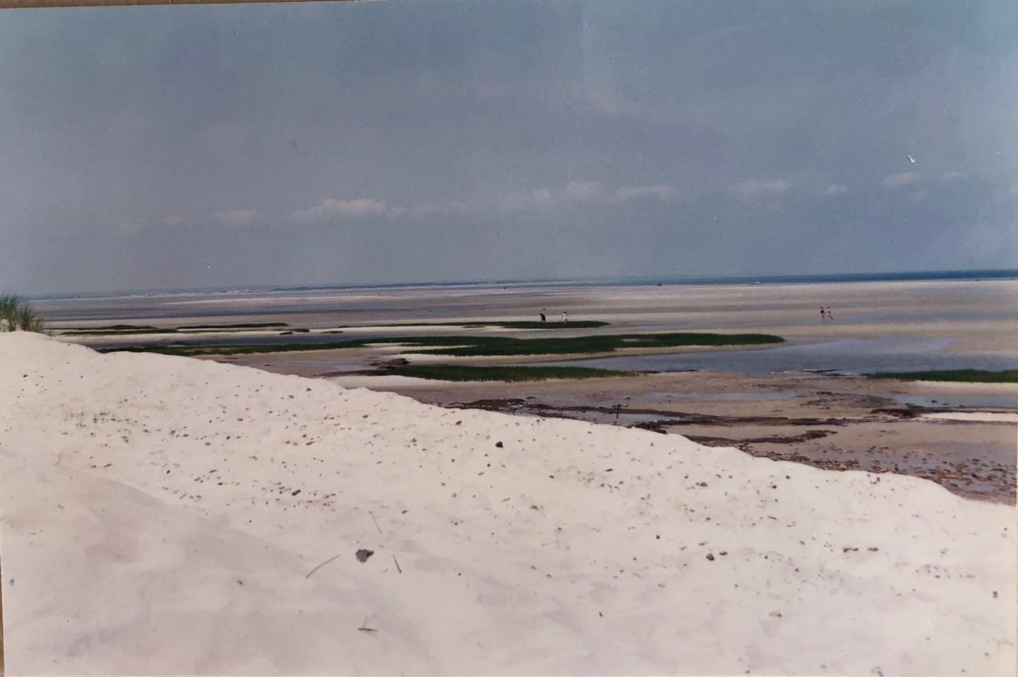 Martha R. Lang - Photography - Chapin Beach