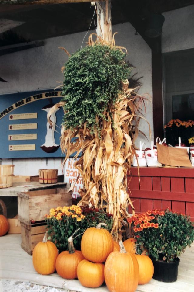 Martha R. Lang - Photography - Harvest Time