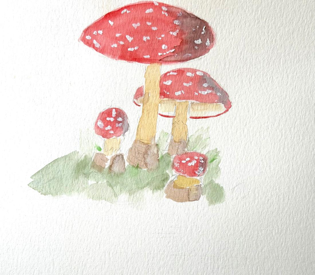 Martha R. Lang - Watercolors - Three Mushrooms