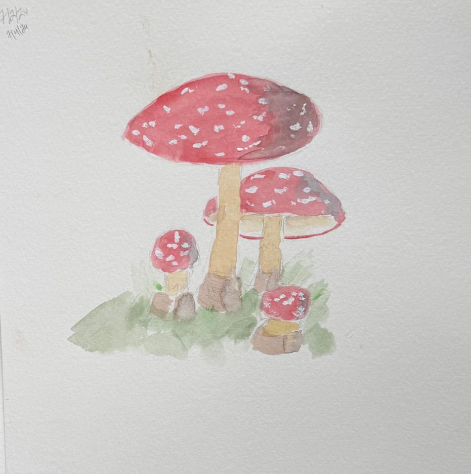 Martha R. Lang - Watercolors - Three Mushrooms