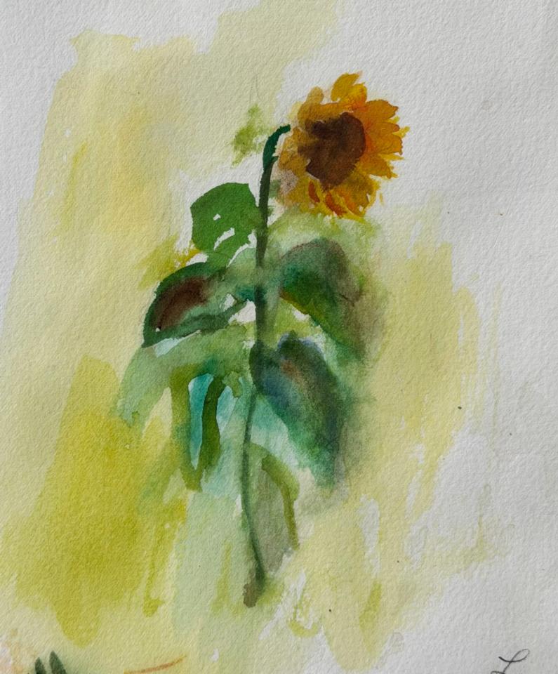 Martha R. Lang - Watercolors - Sunflower